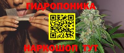 МДПВ Будённовск